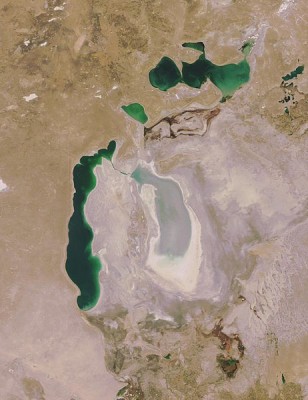 462px-Aral_Sea_05_October_2008.jpg