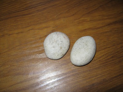 557.jpg